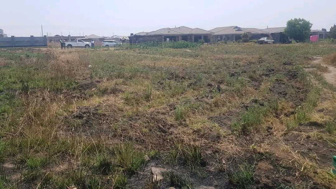 A picture of FALCON PARK STANDS FOR SALE 
