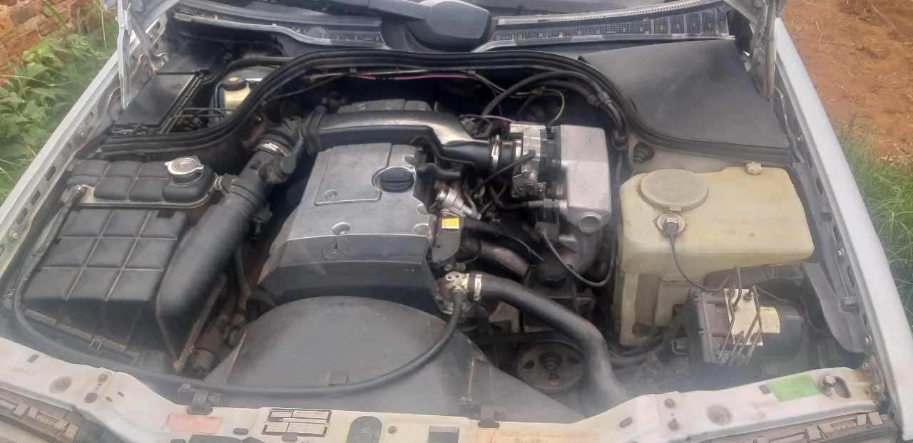 A picture of Mercedes Benz w202
