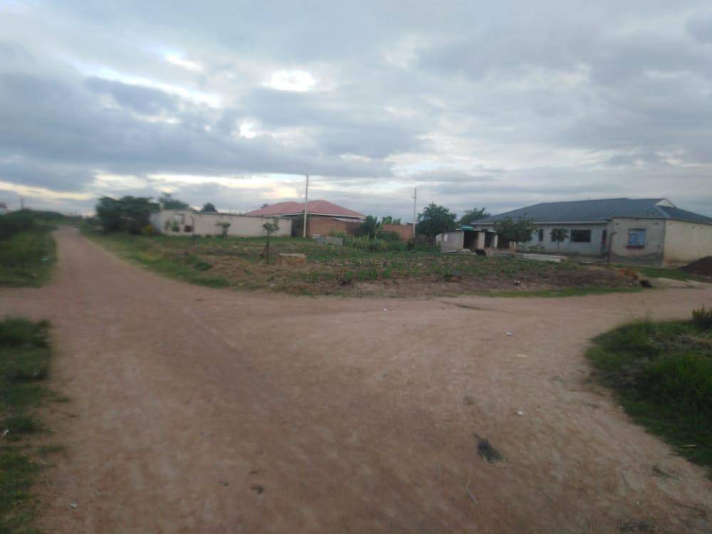 Zimre stands for sale 