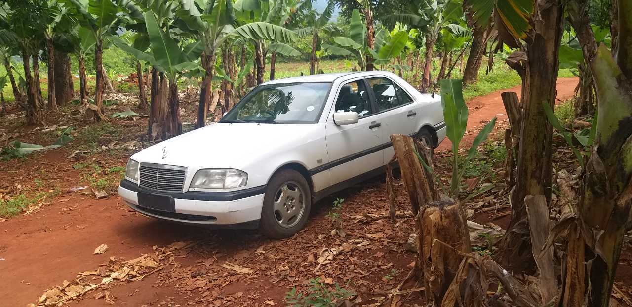 Mercedes Benz w202