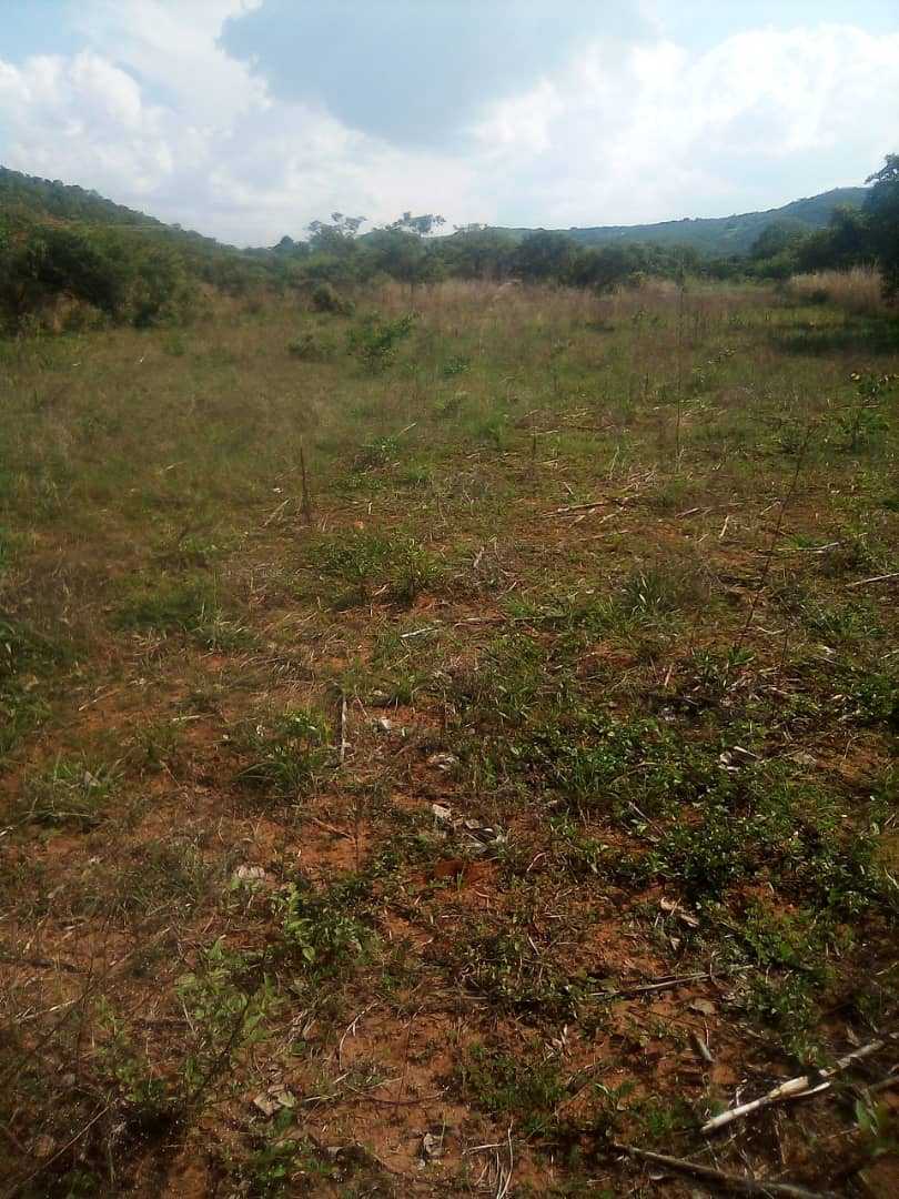 1 Hectare Land for sale in Domboshava