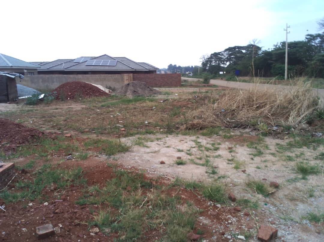 A picture of Zimre stands for sale 
