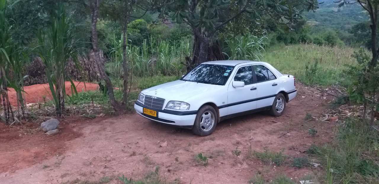 Mercedes Benz w202 