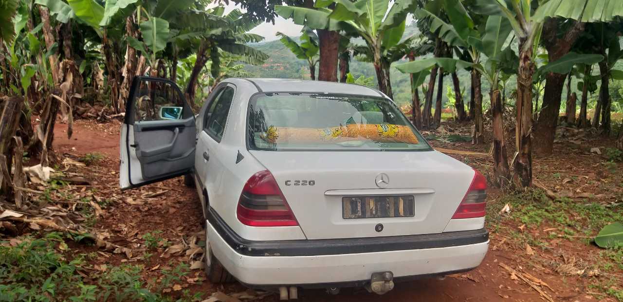 A picture of Mercedes Benz w202 